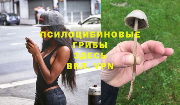 винт Баксан
